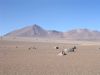 bolivie-0310.JPG