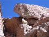 bolivie-0324.JPG