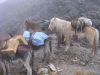 bolivie-0508.JPG