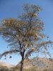 namibie0022.jpg