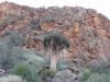 namibie0030.jpg