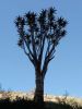 namibie0055.jpg