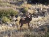 namibie0079.jpg