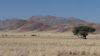 namibie0080.jpg