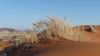 namibie0100.jpg
