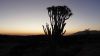 namibie0259.jpg