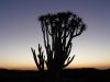 namibie0260.jpg