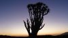 namibie0262.jpg