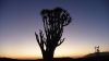 namibie0263.jpg