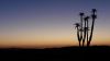 namibie0264.jpg