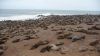 namibie0374.jpg