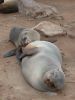 namibie0380.jpg