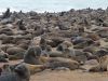 namibie0383.jpg