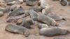 namibie0401.jpg
