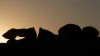 namibie0425.jpg