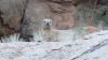 namibie0471.jpg