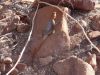 namibie0492.jpg