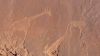 namibie0504.jpg