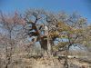 namibie0545.jpg