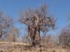 namibie0546.jpg