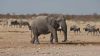 namibie0756.jpg