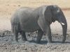 namibie0760.jpg