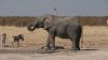 namibie0761.jpg