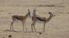 namibie0762.jpg
