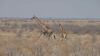 namibie0765.jpg