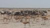 namibie0766.jpg