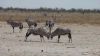 namibie0773.jpg