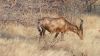 namibie0782.jpg