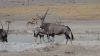 namibie0793.jpg