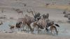 namibie0795.jpg
