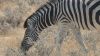 namibie0799.jpg