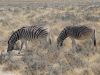 namibie0800.jpg