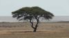 namibie0805.jpg