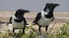 namibie0814.jpg