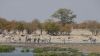 namibie0817.jpg
