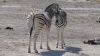 namibie0818.jpg