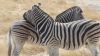 namibie0819.jpg