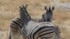namibie0821.jpg