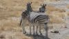 namibie0822.jpg