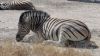 namibie0823.jpg