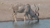 namibie0868.jpg
