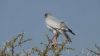 namibie0887.jpg