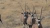 namibie0927.jpg