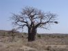 tanzanie-0019.JPG