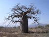tanzanie-0026.JPG