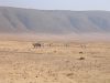 tanzanie-0085.JPG